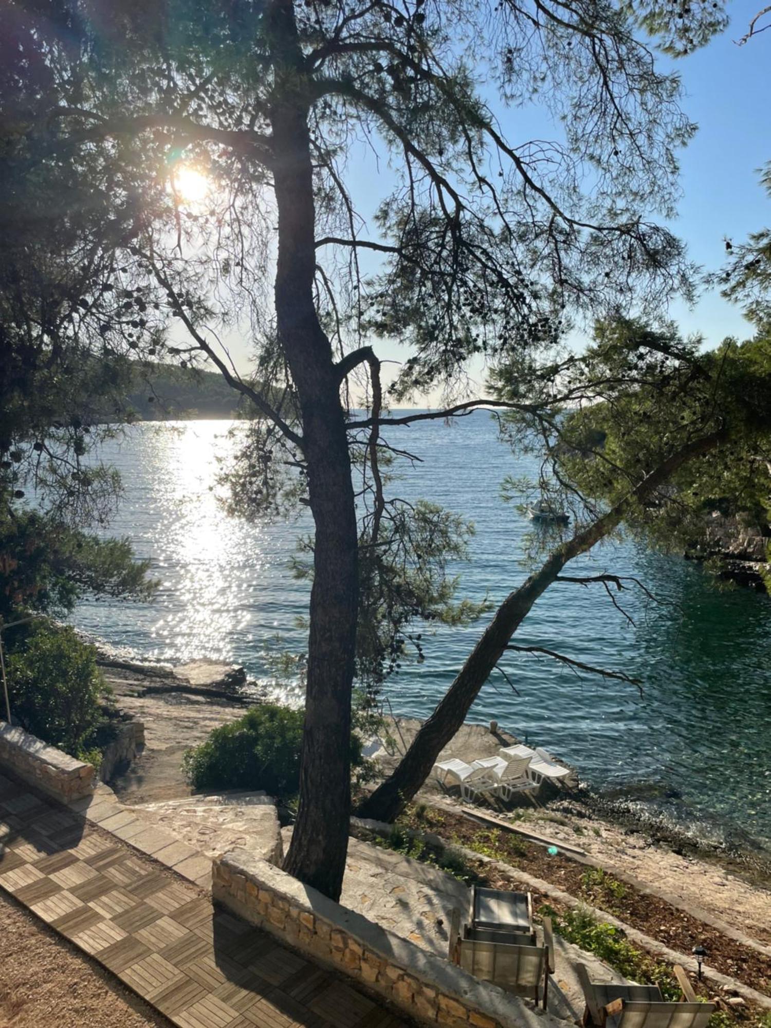 Villa Terra Nostra Hvar Χβαρ Εξωτερικό φωτογραφία