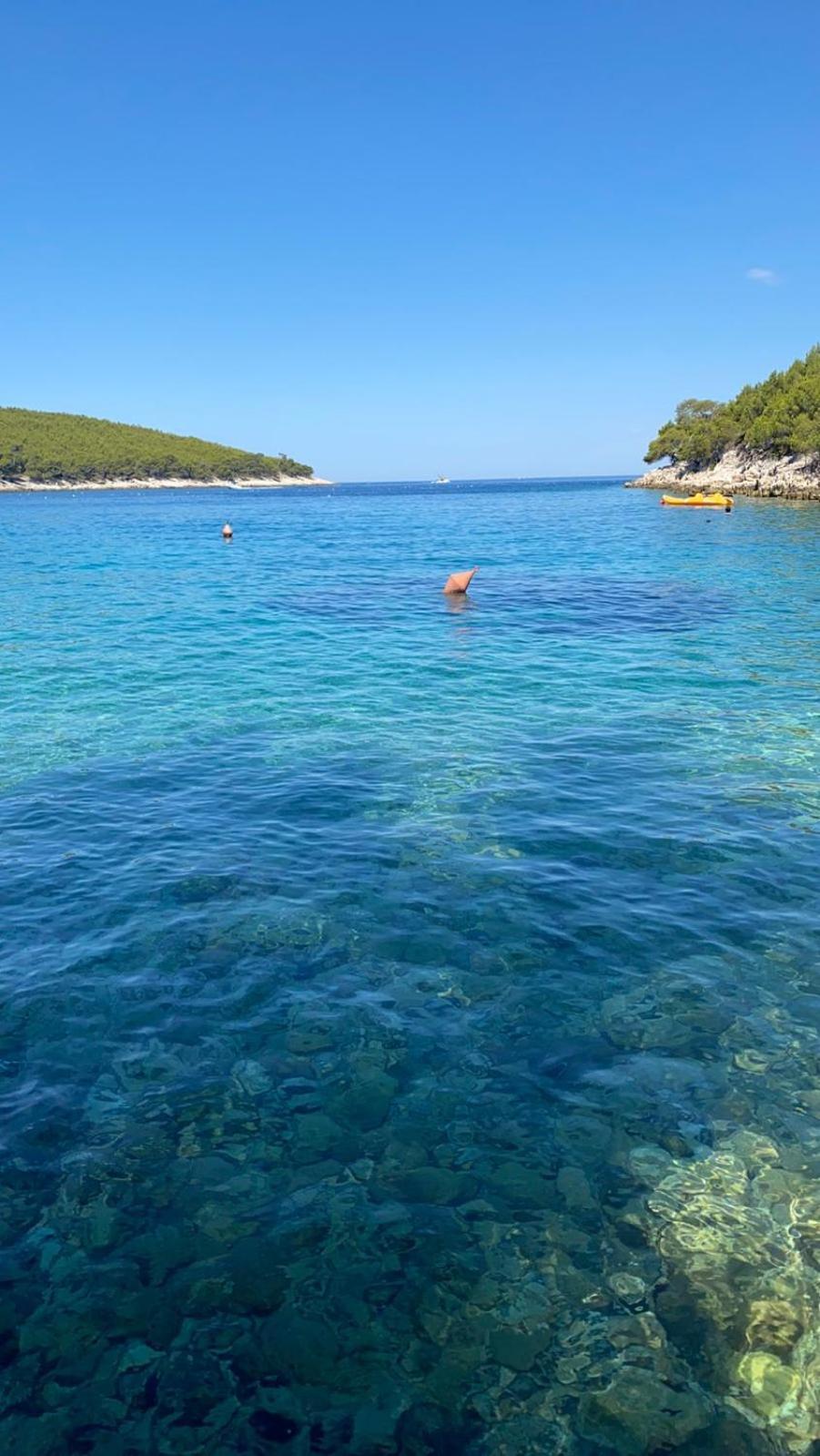 Villa Terra Nostra Hvar Χβαρ Εξωτερικό φωτογραφία